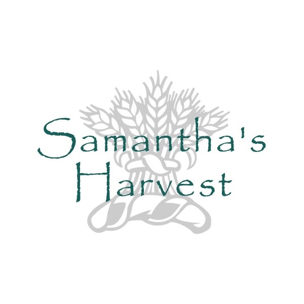 the logo for savannah's harvest harvest