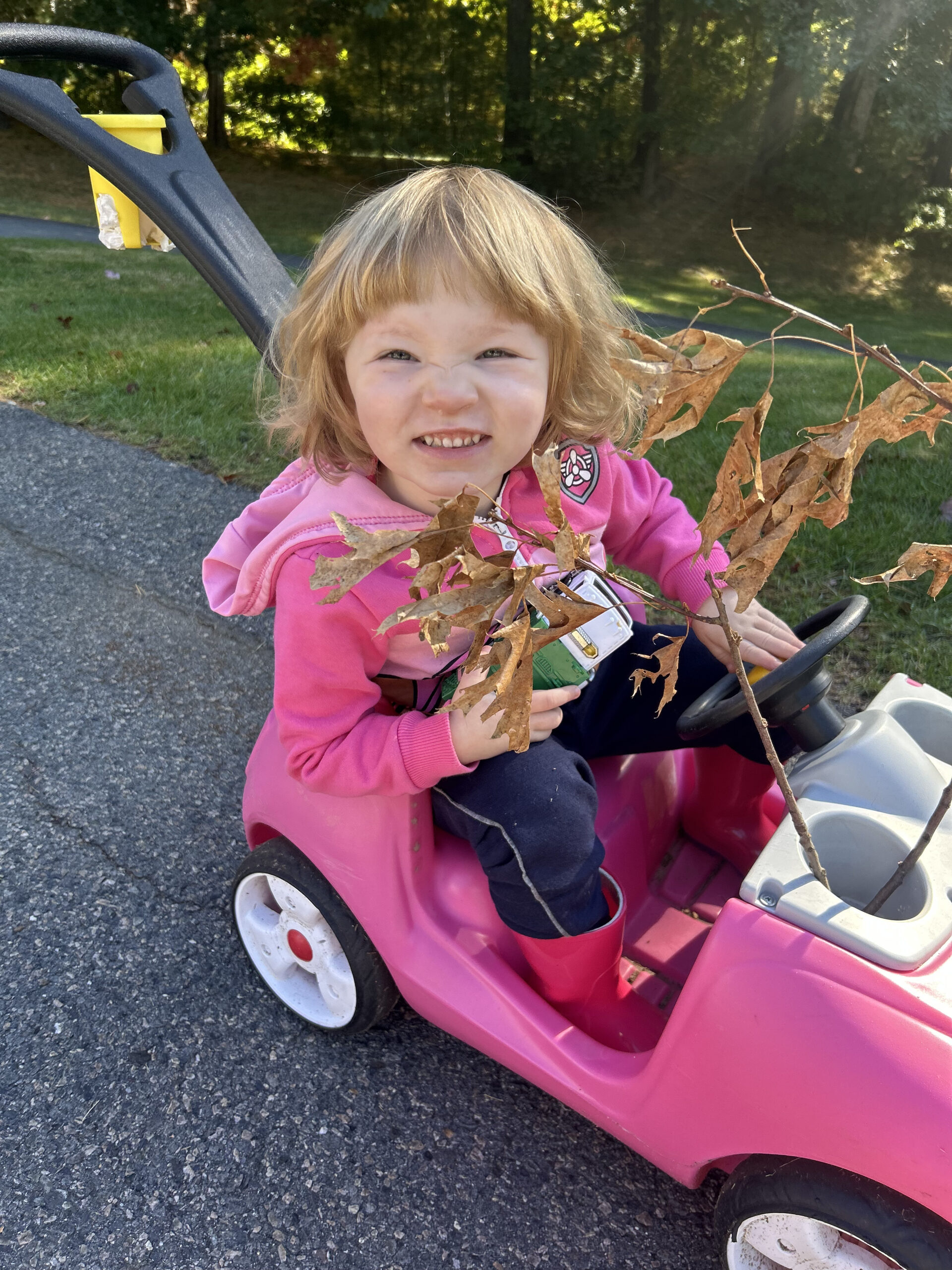 a little girl sitting in a pink toy car