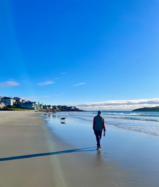 a person walking on a beach with houses in the background